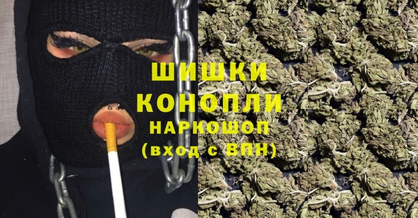 дживик Зеленокумск