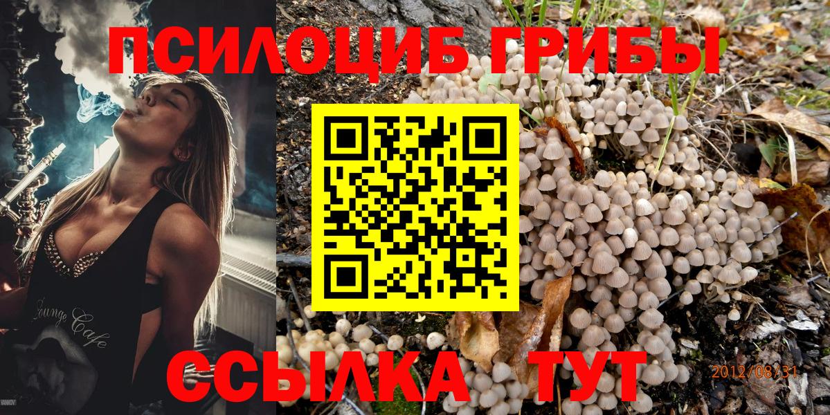Псилоцибиновые грибы MAGIC MUSHROOMS Краснознаменск