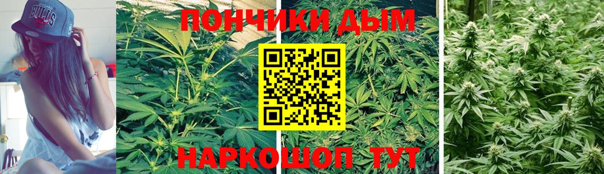 Краснознаменск  Конопля планчик  Бошки Шишки гибрид  Вход с VPN  Бошки Шишки марихуана  Бошки марихуана Bruce Banner 